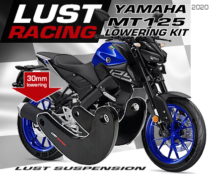 2020 Yamaha MT125 lowering kits