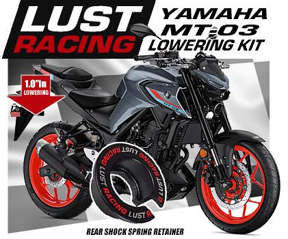 2019,2020,2021 Yamaha MT-03 lowering kit