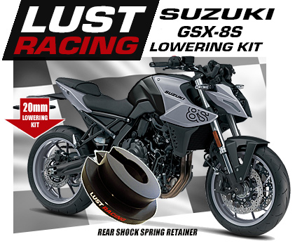 2023-2024 Suzuki GSX-8S lowering kit