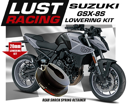 2023-2025 Suzuki GSX-8S lowering kit