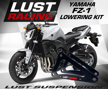 Yamaha FZ-1 lowering kits
