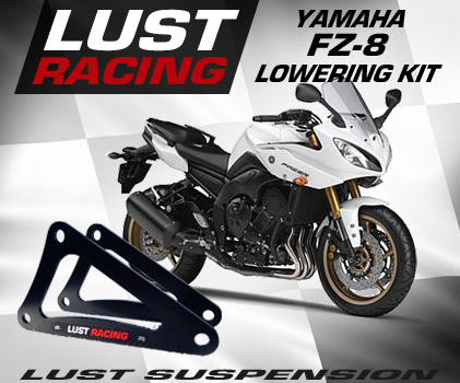 Yamaha FZ-8 lowering kit
