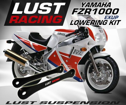 Yamaha FZR1000 lowering kits