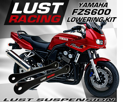 Yamaha FZS600 lowering kits