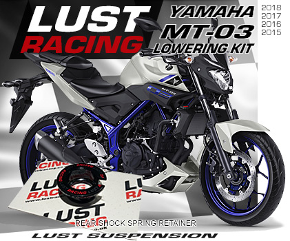 2015-2018 Yamaha MT-03 lowering kit