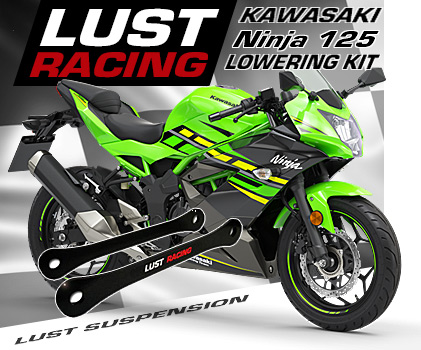 2019-2022 Kawasaki Ninja 125 lowering kit