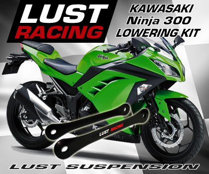 Kawasaki Ninja 300 lowering kit