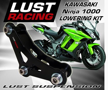  Kawasaki Ninja 1000 lowering kit