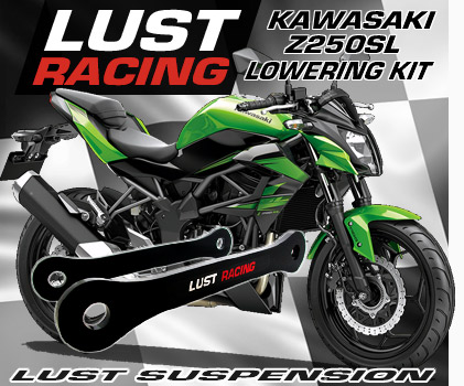 Kawasaki Z250SL lowering kit, 2015-2015
