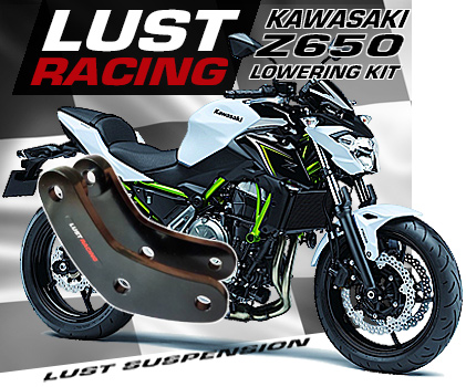 Kawasaki Z650 lowering kit, 2017 2018 2019 2020 2021 2022